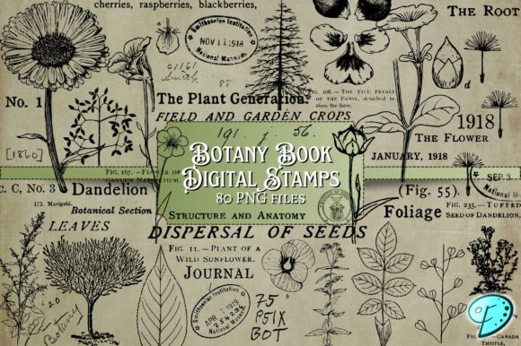 Download Botany Book Digi Stamps Transparent PNGs - Transparent Collection
